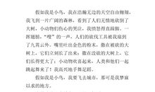 神奇的衣服作文