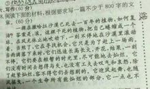 我成功了作文1000字