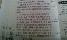 亲子运动会作文