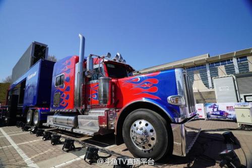 大篷车电影评论