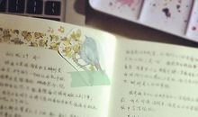 玩的就是心跳读后感