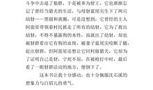 混血豺王读后感500字