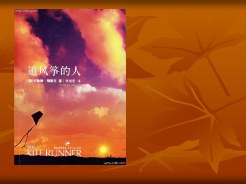 风筝下少年的感受