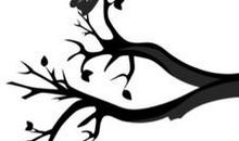 飞鸟与鱼读后感