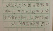 一年级日记30字