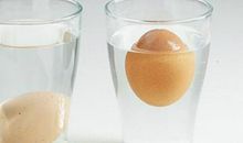 鸡蛋浮起来了作文