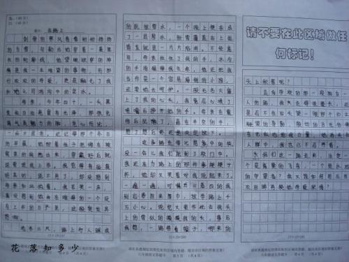 初中路上的作文