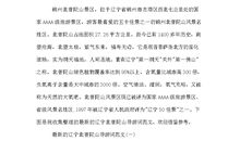 一只离群的蜜蜂读后感