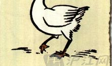 丰子恺白鹅读后感