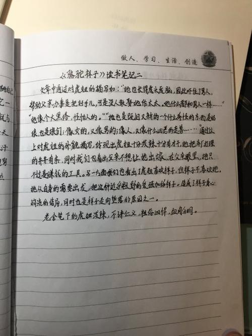 读《巷子罗托》第1-6章后的思考