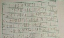 我家乡的端午节作文