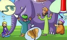 盲人摸象读后感