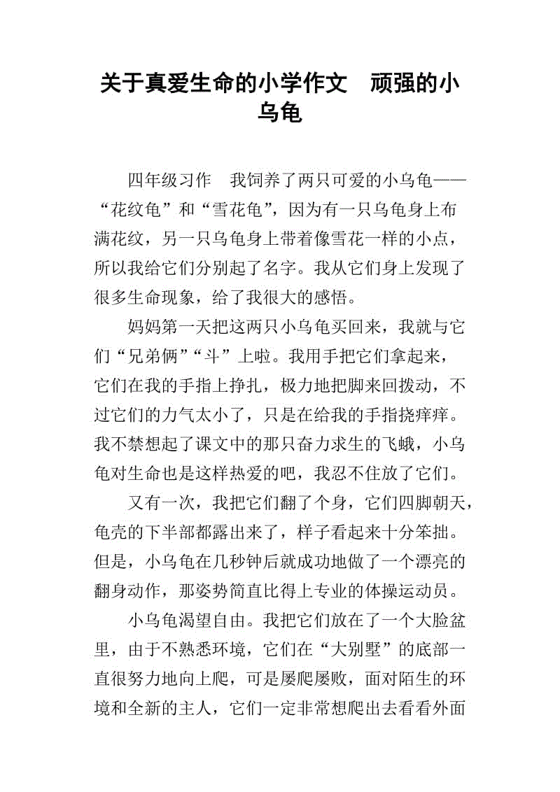 生命的永恒组成