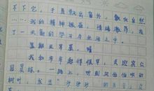 暑假总结作文300字