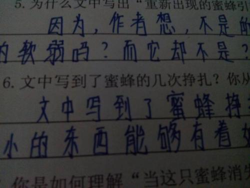 赞美蜜蜂的成分