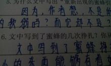 赞美蜜蜂的作文