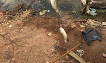 难忘的第一次钓鱼