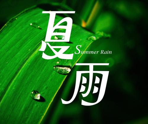 夏雨