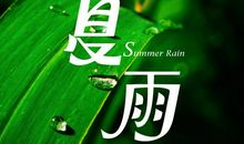 作文夏雨