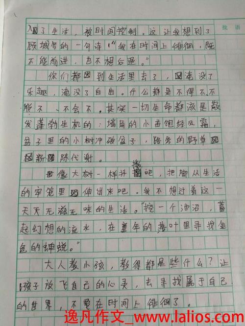 生活中的酸成分