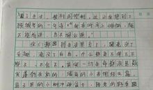 生活中的酸作文