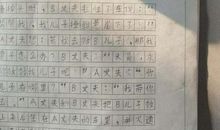 第一次钓鱼作文