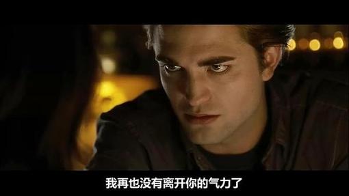 暮光之城电影评论