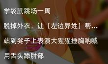 真心话大冒险经典台词