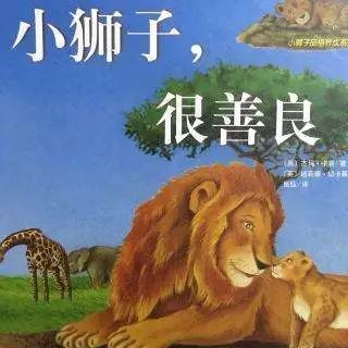 看完温暖的狮子