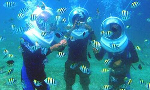 参观水下世界的构成