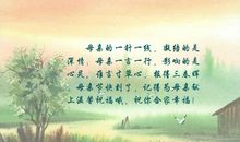 关于父爱的读后感