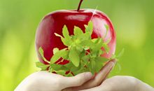 手心里的爱作文