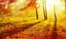 我爱美丽的秋天