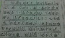 小学生读后感350字