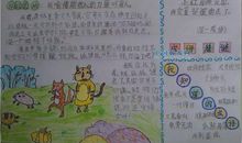 有关爱国故事的读后感