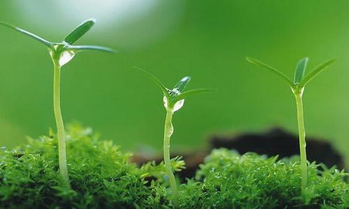 移动生活作文400字