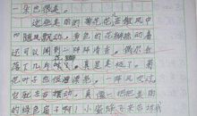 我的家乡作文100字
