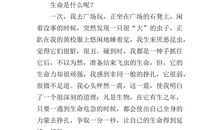 四年级作文热爱生命