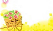 假如我有一朵七色花