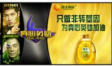 六年级作文真心英雄