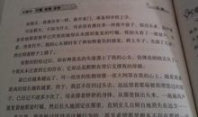 亲情在我身边作文