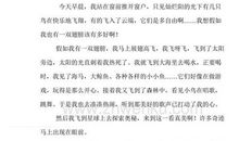 假如我有一匹马作文