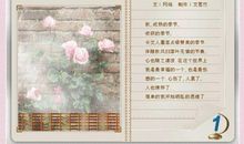 《哪一种爱不千疮百孔》读后感