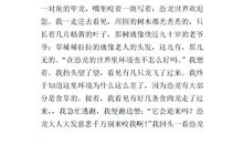 小学生作文游记