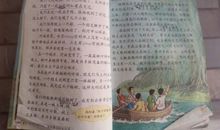 假如我是一只鸟作文