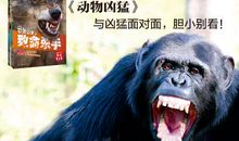 动物凶猛读后感