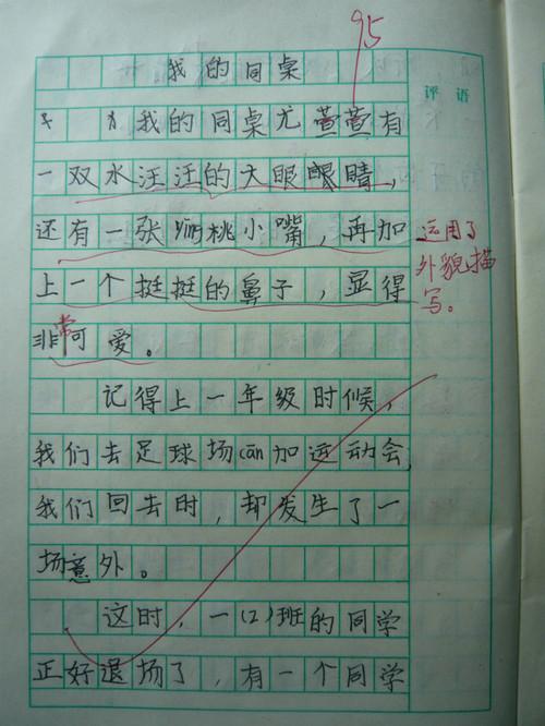 三年级作文我的家乡