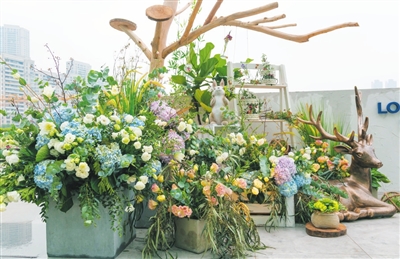 参观花卉博览会组成