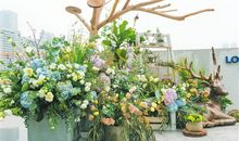 参观花博会作文