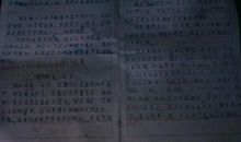 假如我有一双翅膀作文